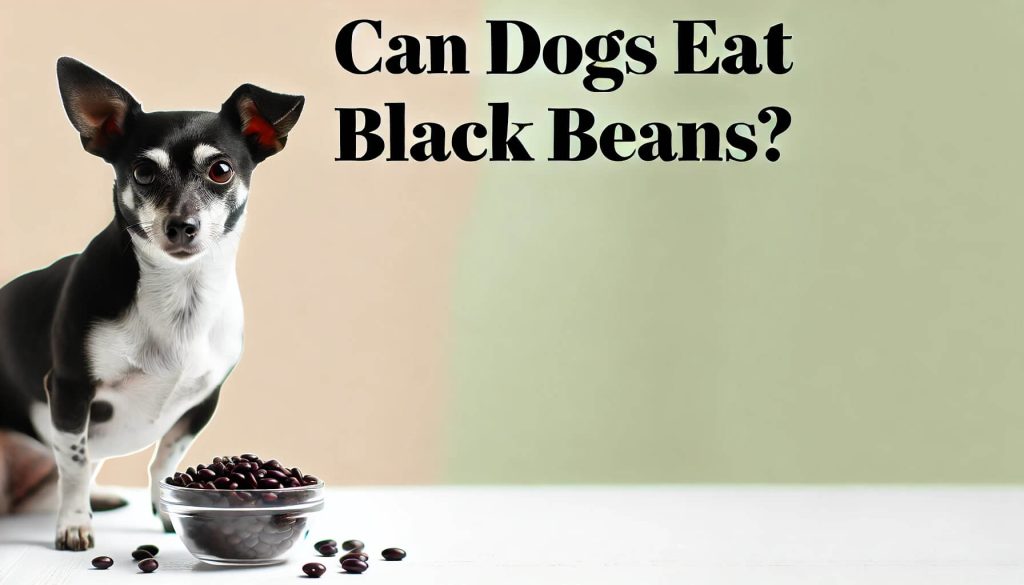 Dog eating black beans