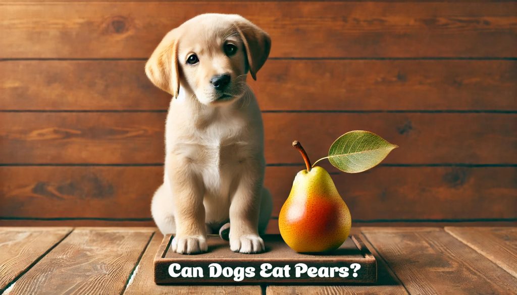 Dog eating pears